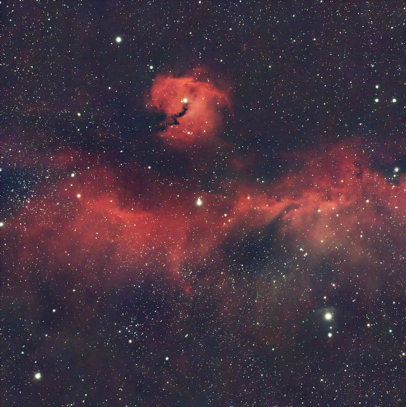 202602 NGC2335 final4 deblur small